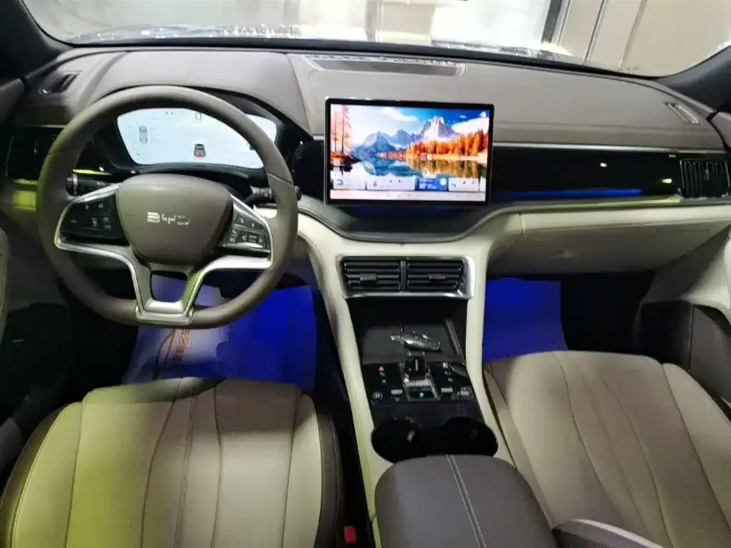 BYD PLUS New Energy — фото 5