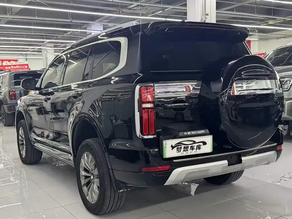 Tank 500 New Energy 2024 из CN, фото 3