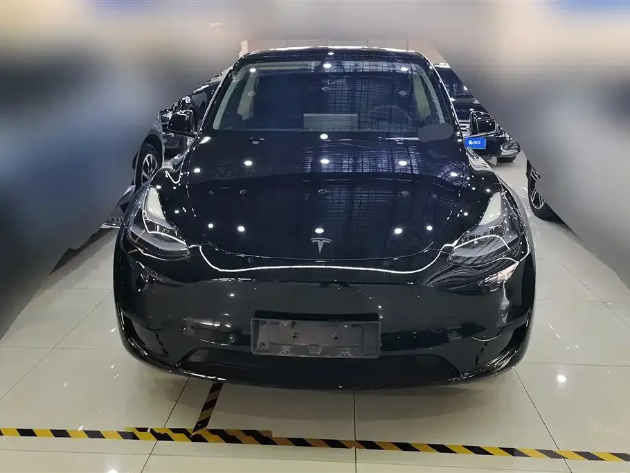 Tesla Model Y — фото 10