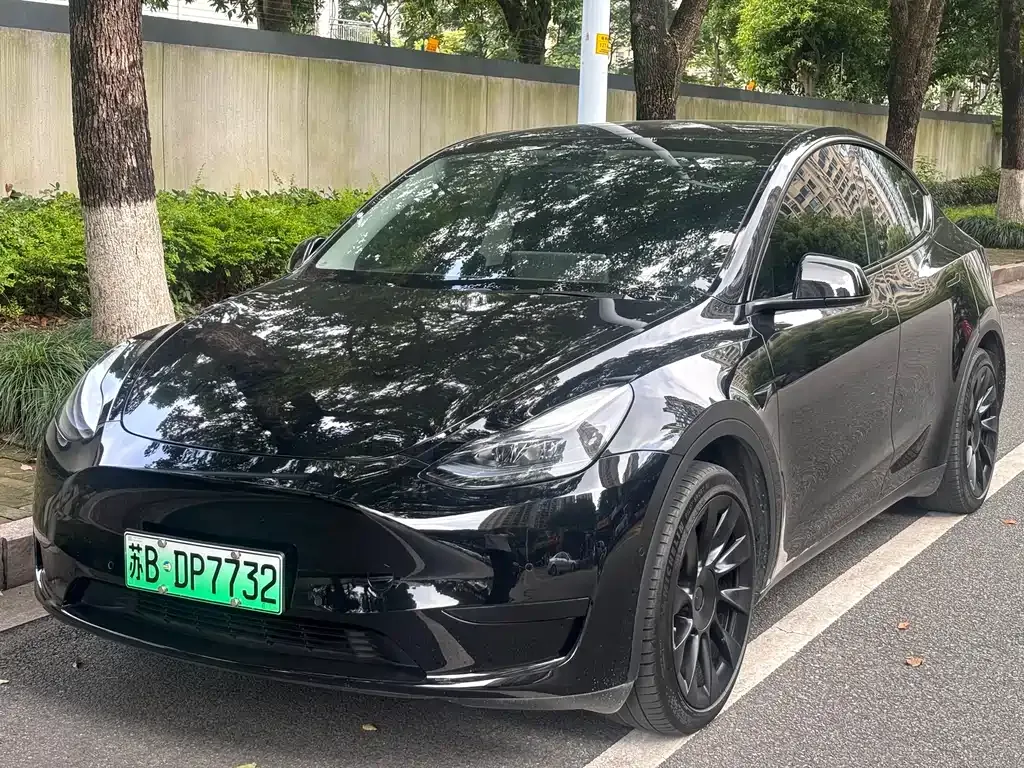 Tesla Model Y — фото 1