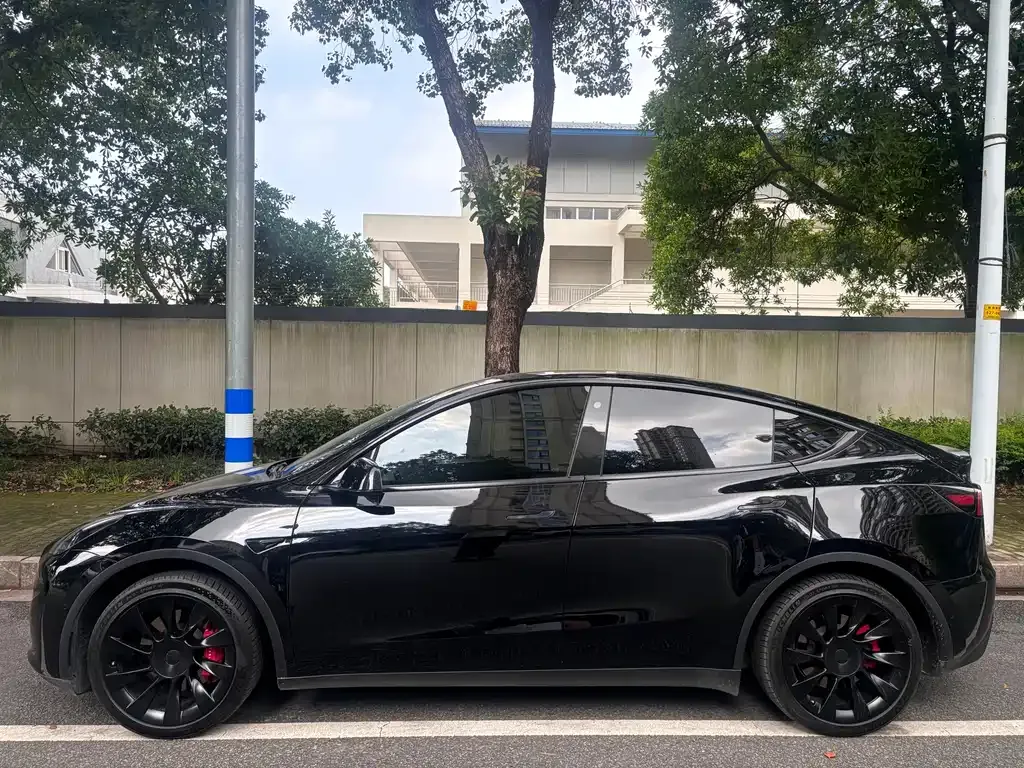 Tesla Model Y — фото 10