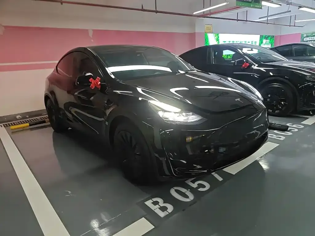 Tesla Model Y — фото 3