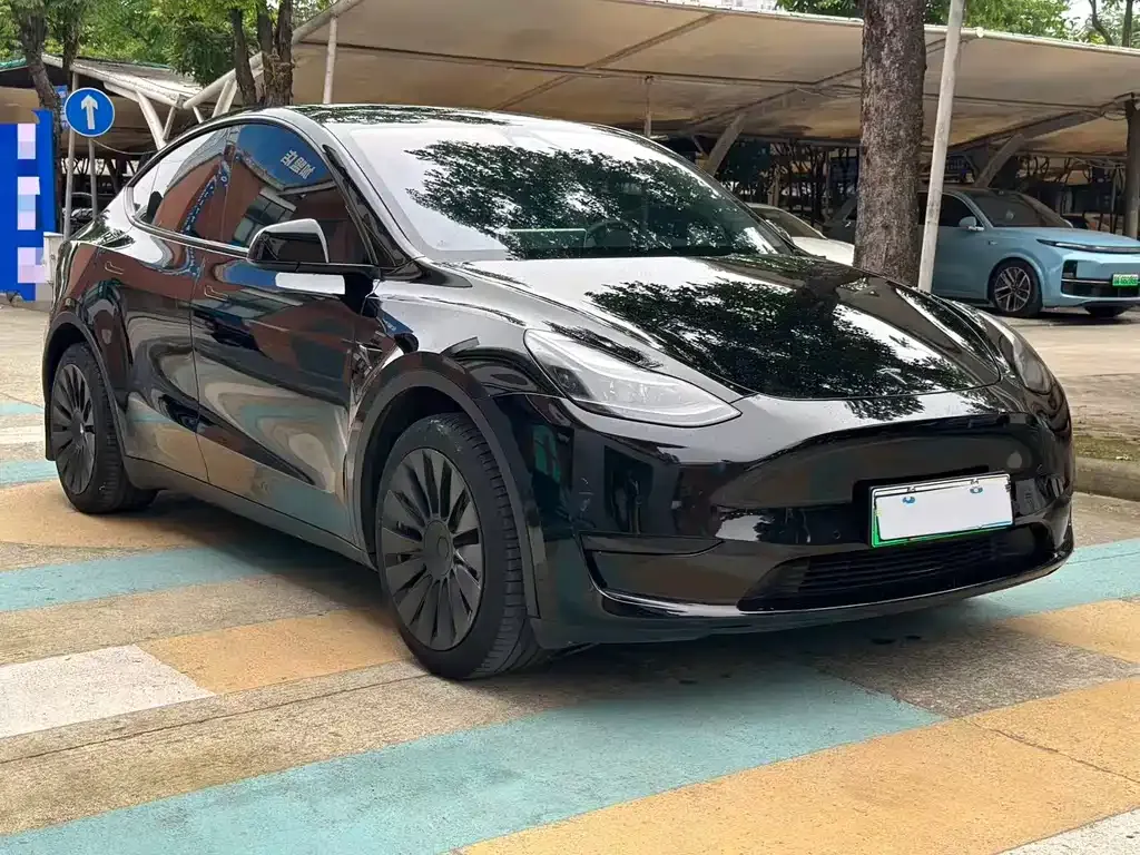 Tesla Model Y — фото 10