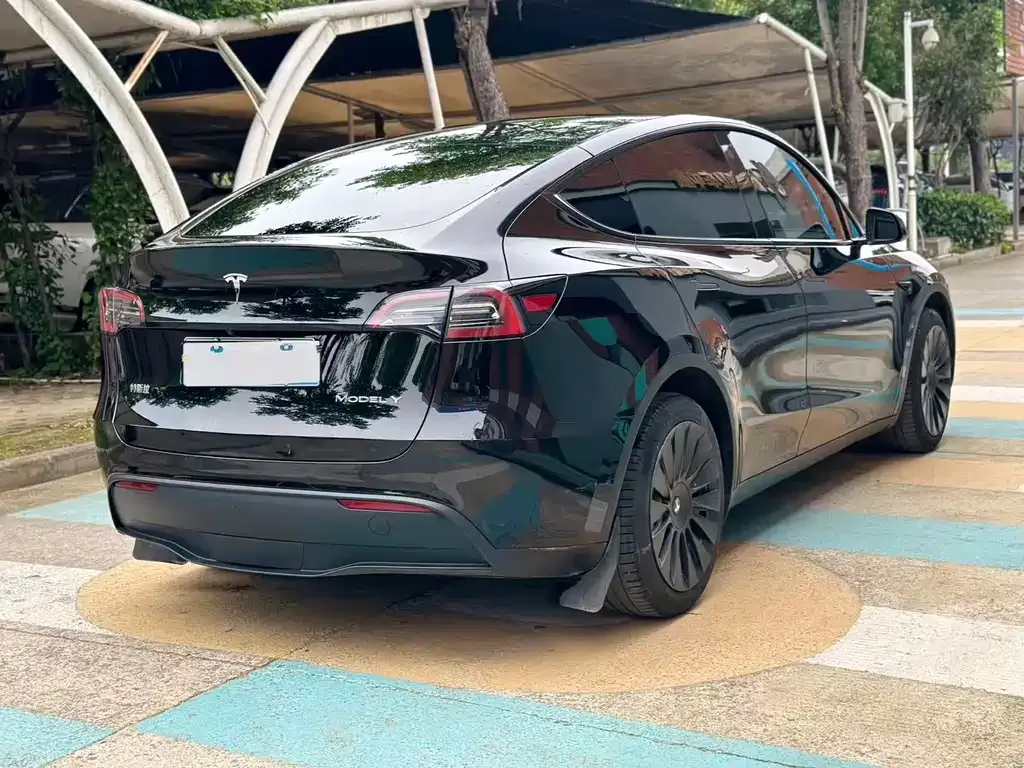 Tesla Model Y — фото 5