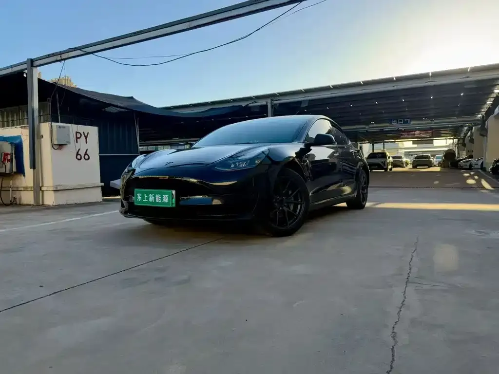 Tesla Model 3 — фото 1