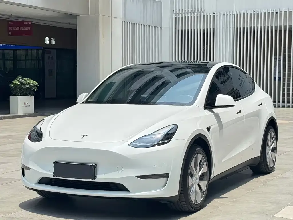 Tesla Model Y 2022 из CN, фото 1
