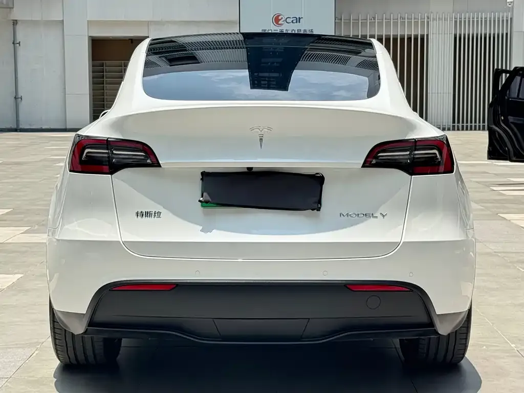 Tesla Model Y 2022 из CN, фото 9
