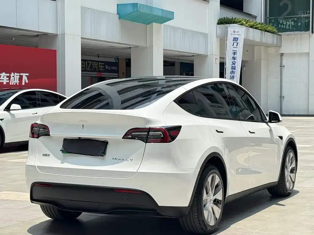 Tesla Model Y 2022 из CN, фото 8
