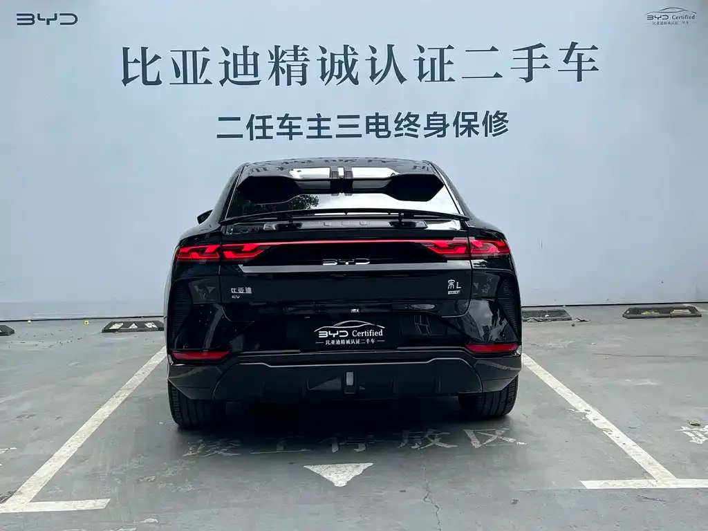 BYD L EV — фото 3
