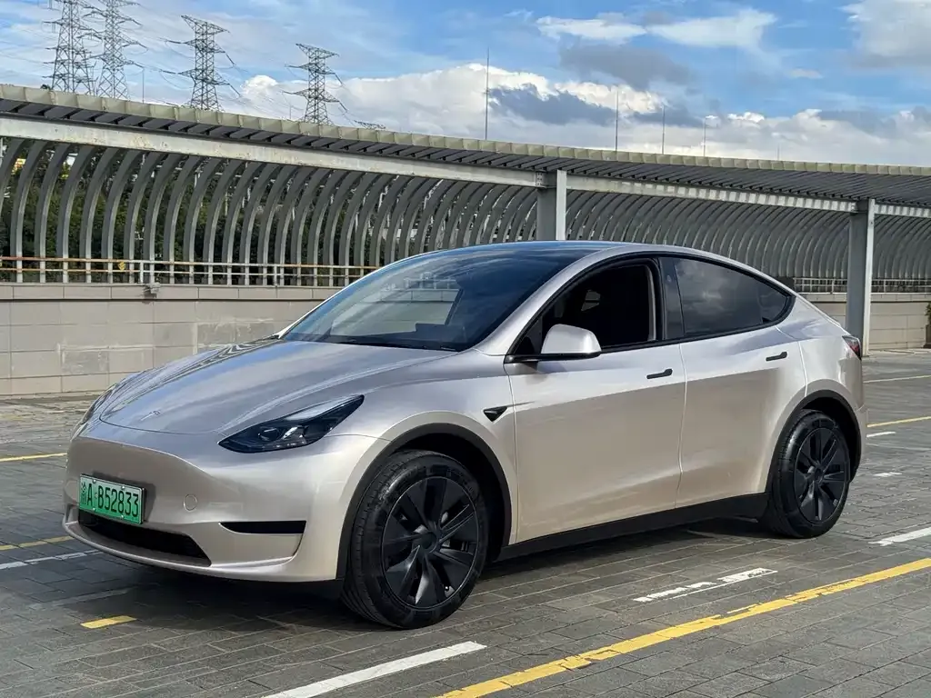 Tesla Model Y — фото 1