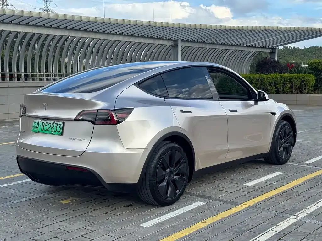 Tesla Model Y — фото 10