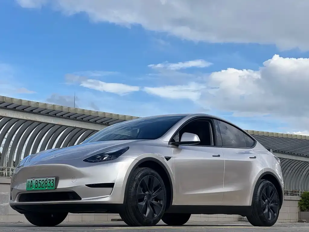 Tesla Model Y — фото 2
