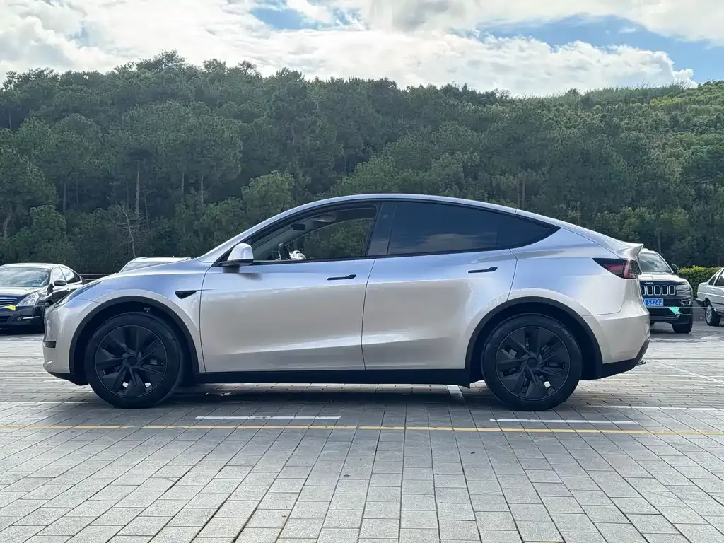 Tesla Model Y — фото 8