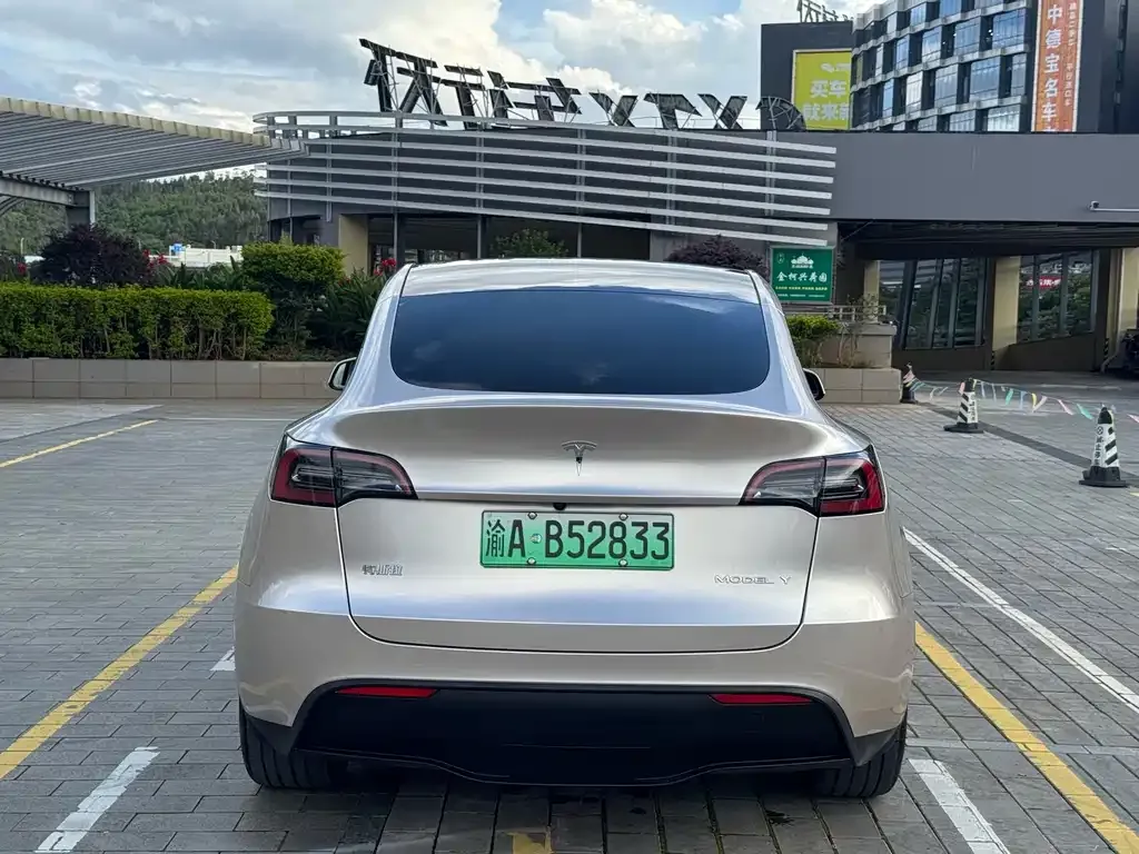 Tesla Model Y — фото 3