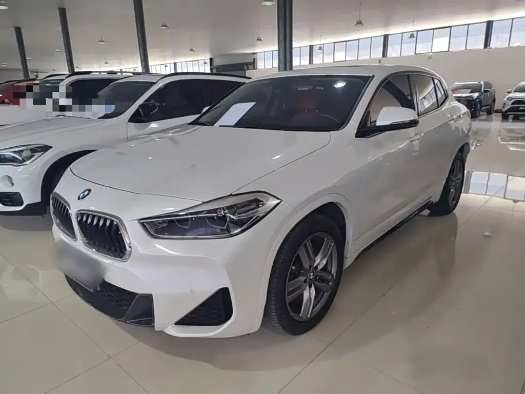 BMW X2 — фото 1