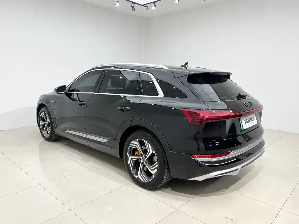 Audi e-tron 2022 из CN, фото 4