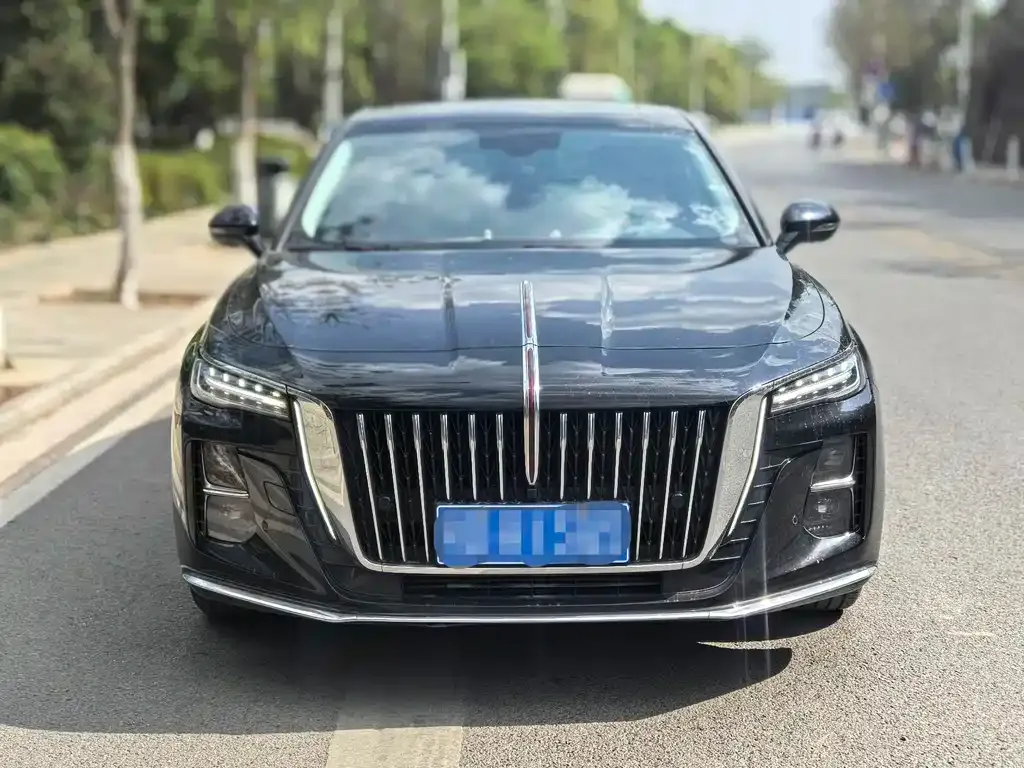 Hongqi H5 — фото 10