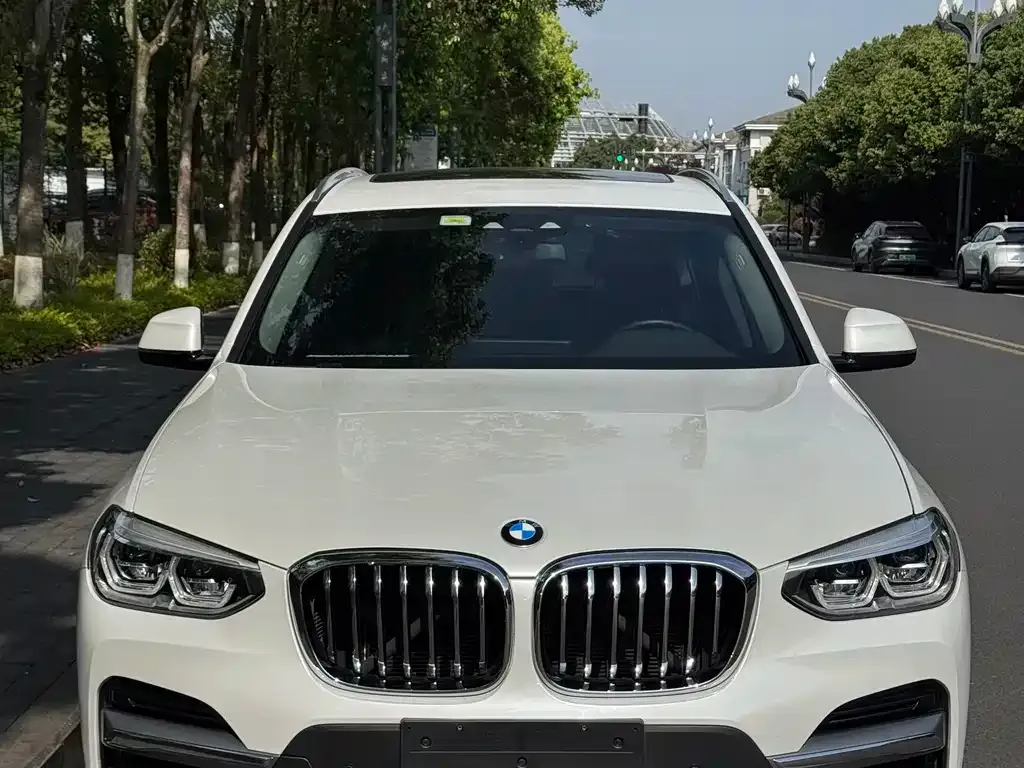 BMW X3 2021 из CN, фото 7