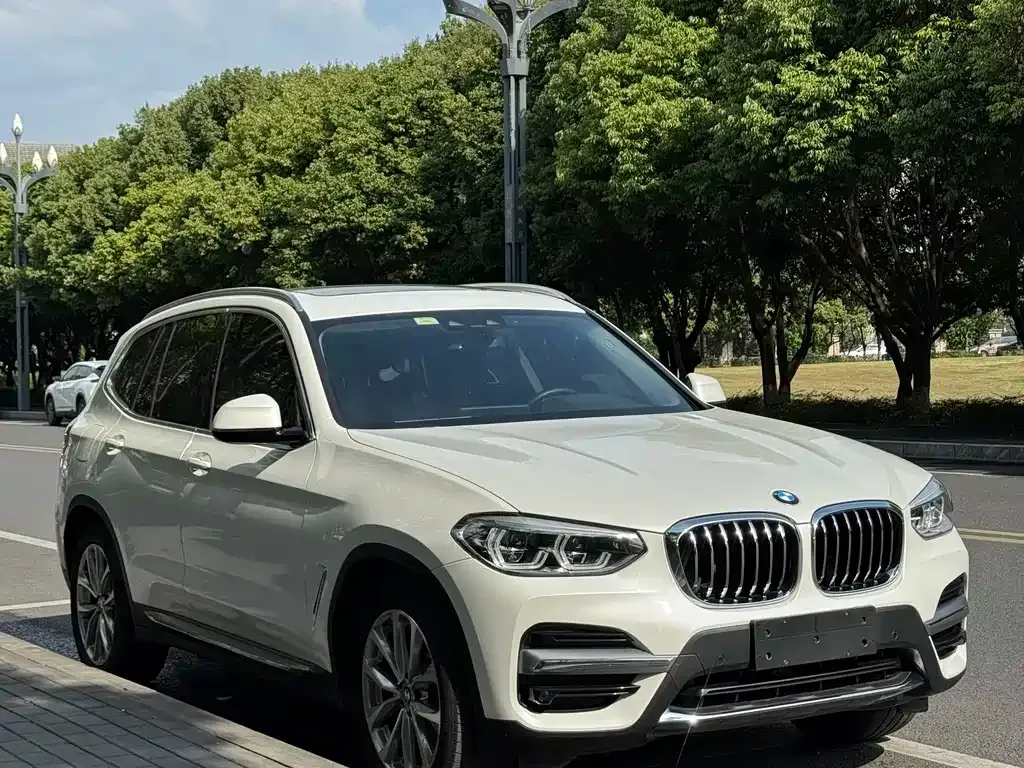 BMW X3 2021 из CN, фото 5