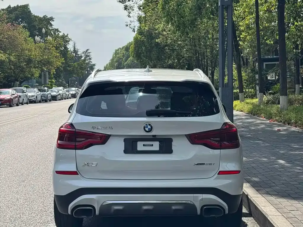 BMW X3 2021 из CN, фото 6