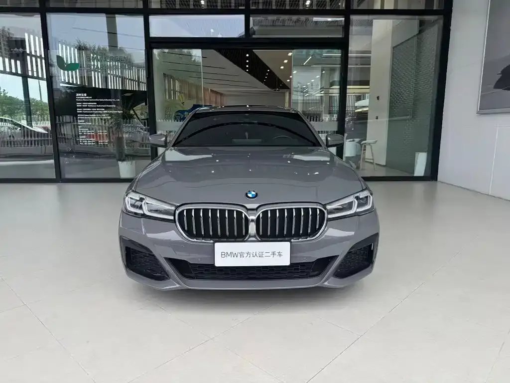 BMW 5 Series (Import) — фото 9