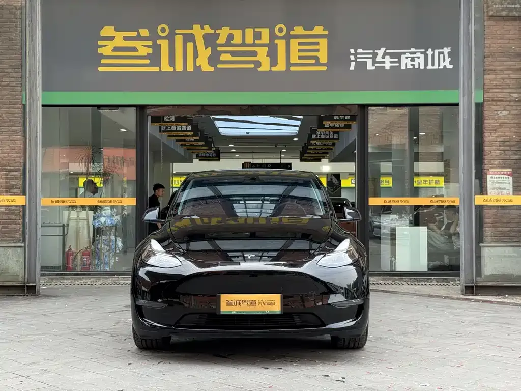 Tesla Model Y — фото 9