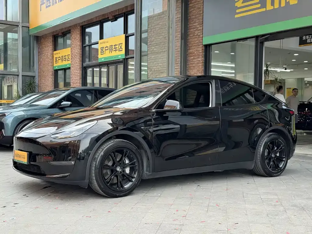 Tesla Model Y — фото 3