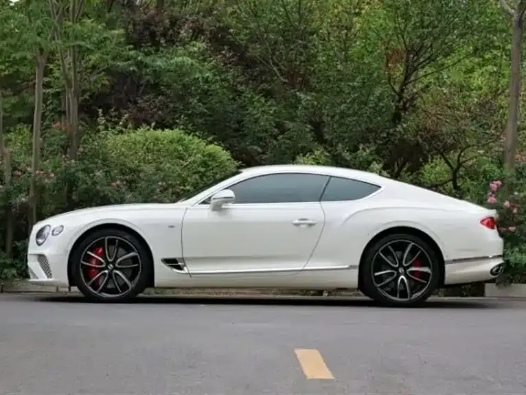 Bentley Continental — фото 7