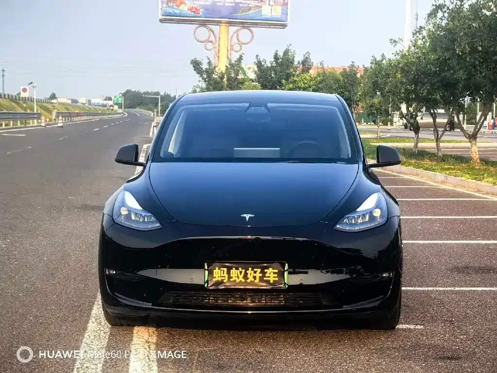 Tesla Model Y — фото 4