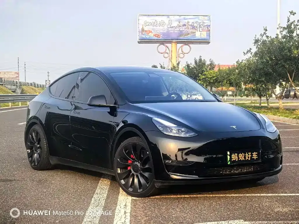 Tesla Model Y — фото 5