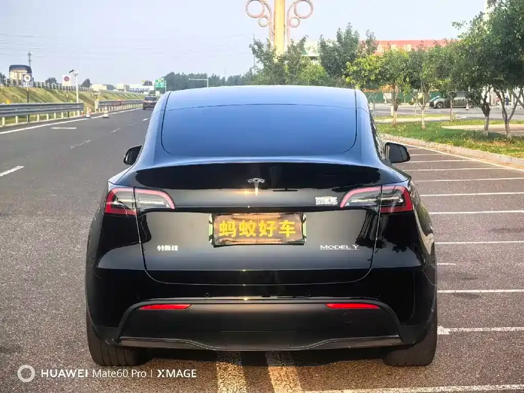 Tesla Model Y — фото 8