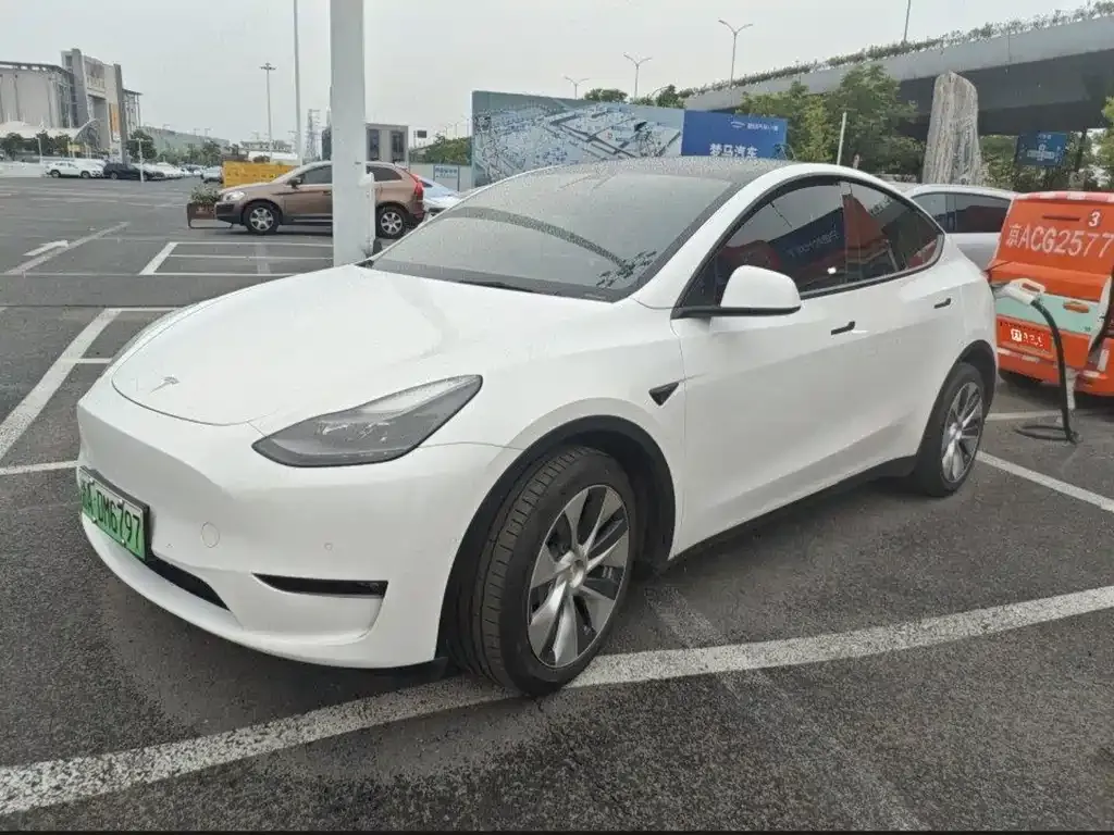 Tesla Model Y — фото 1