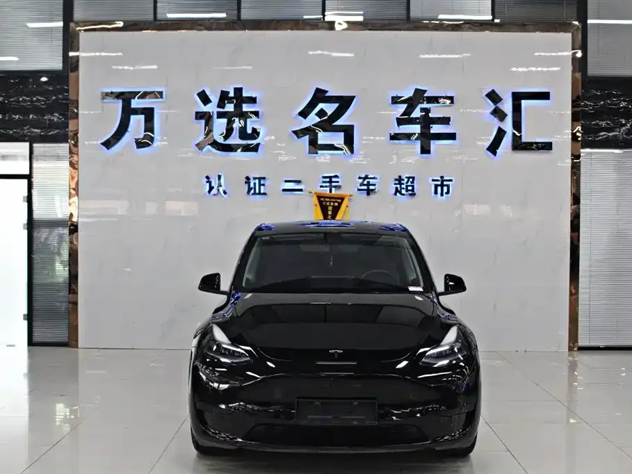 Tesla Model Y — фото 10