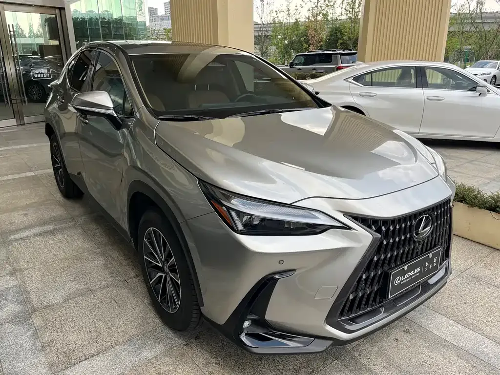 Lexus NX — фото 6