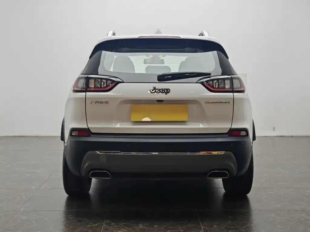 Jeep Cherokee 2021 из CN, фото 8