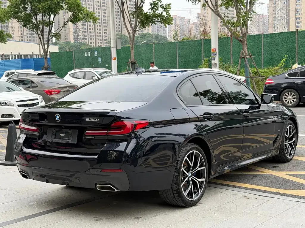 BMW 5 Series (Import) 2023 из CN, фото 9