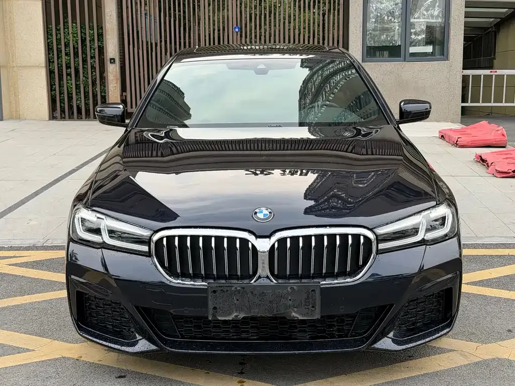 BMW 5 Series (Import) 2023 из CN, фото 10