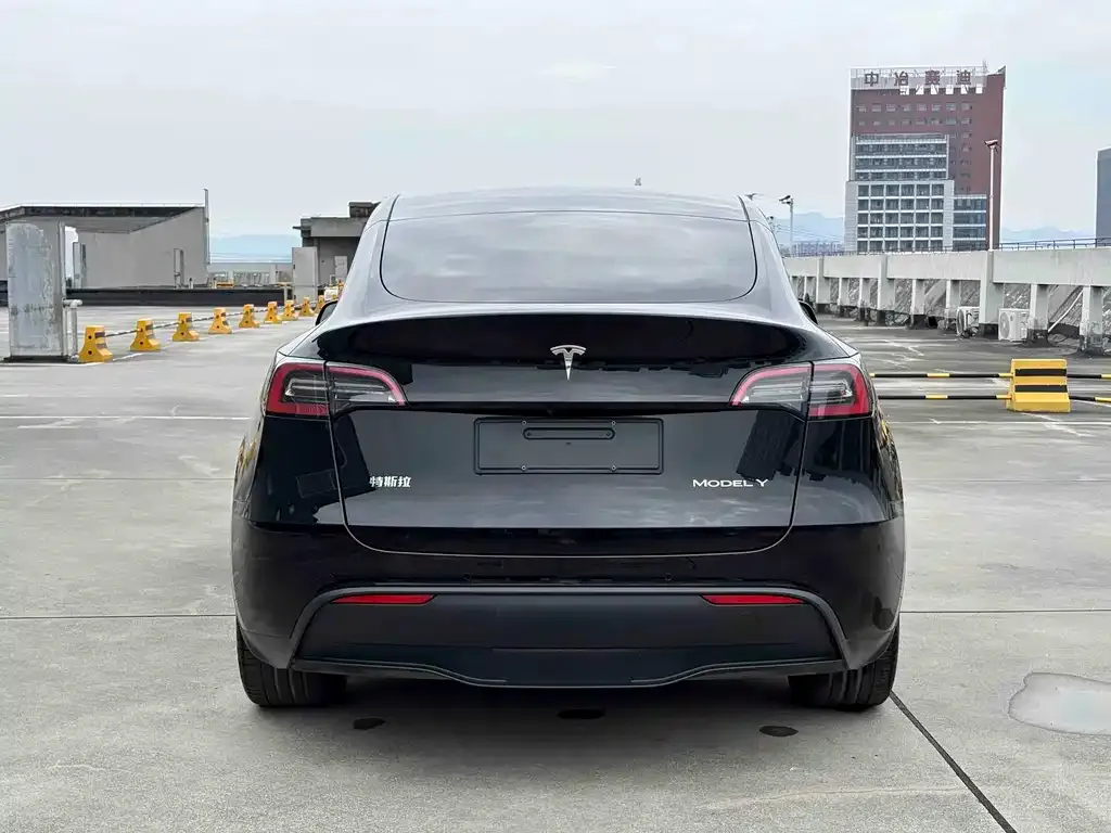 Tesla Model Y — фото 8