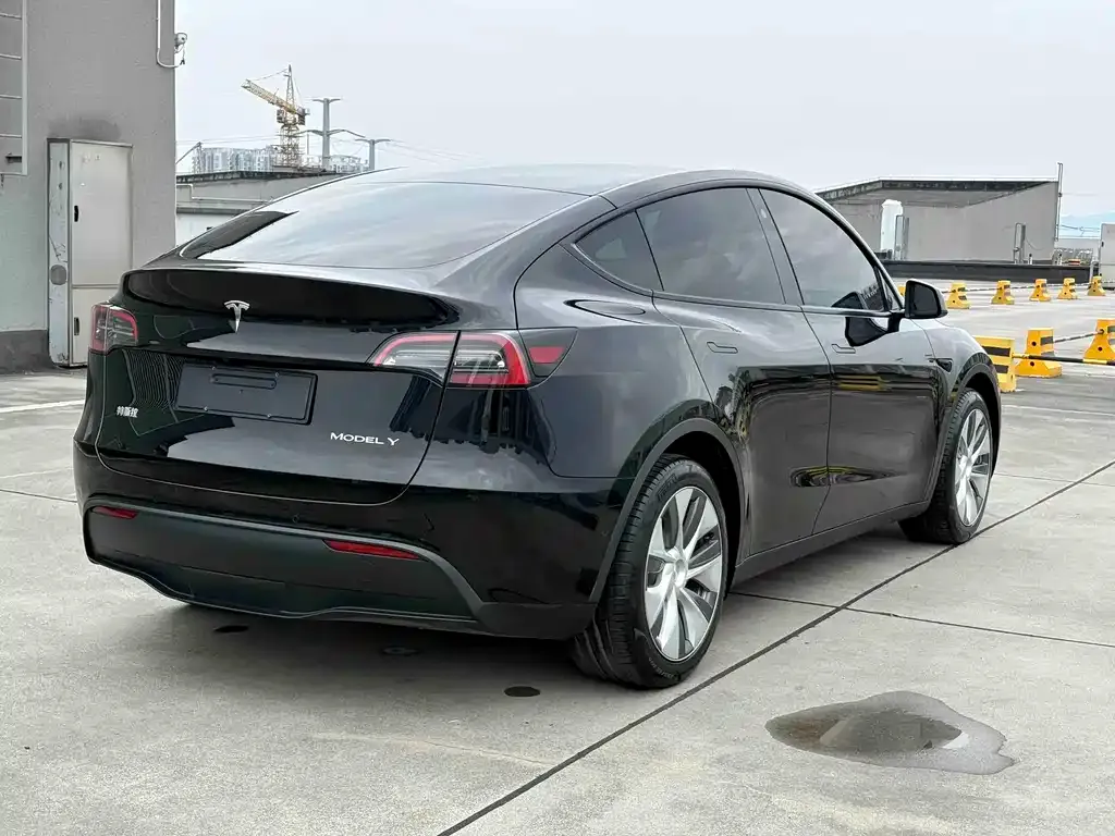 Tesla Model Y — фото 3