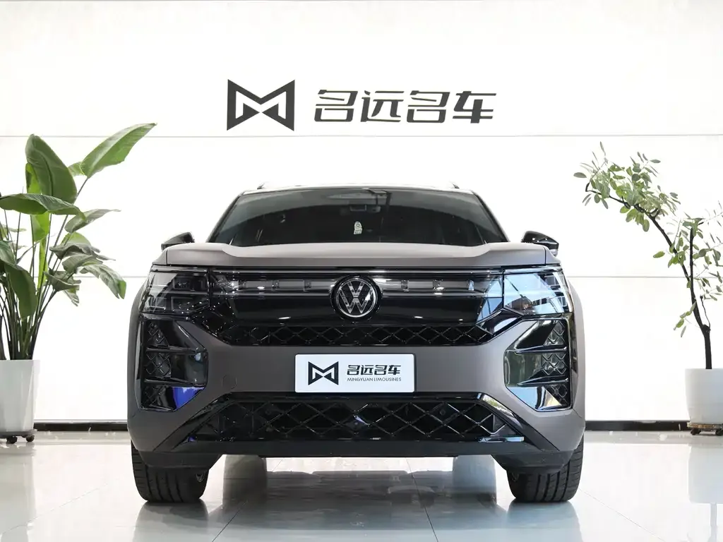 Volkswagen Teramont X — фото 6