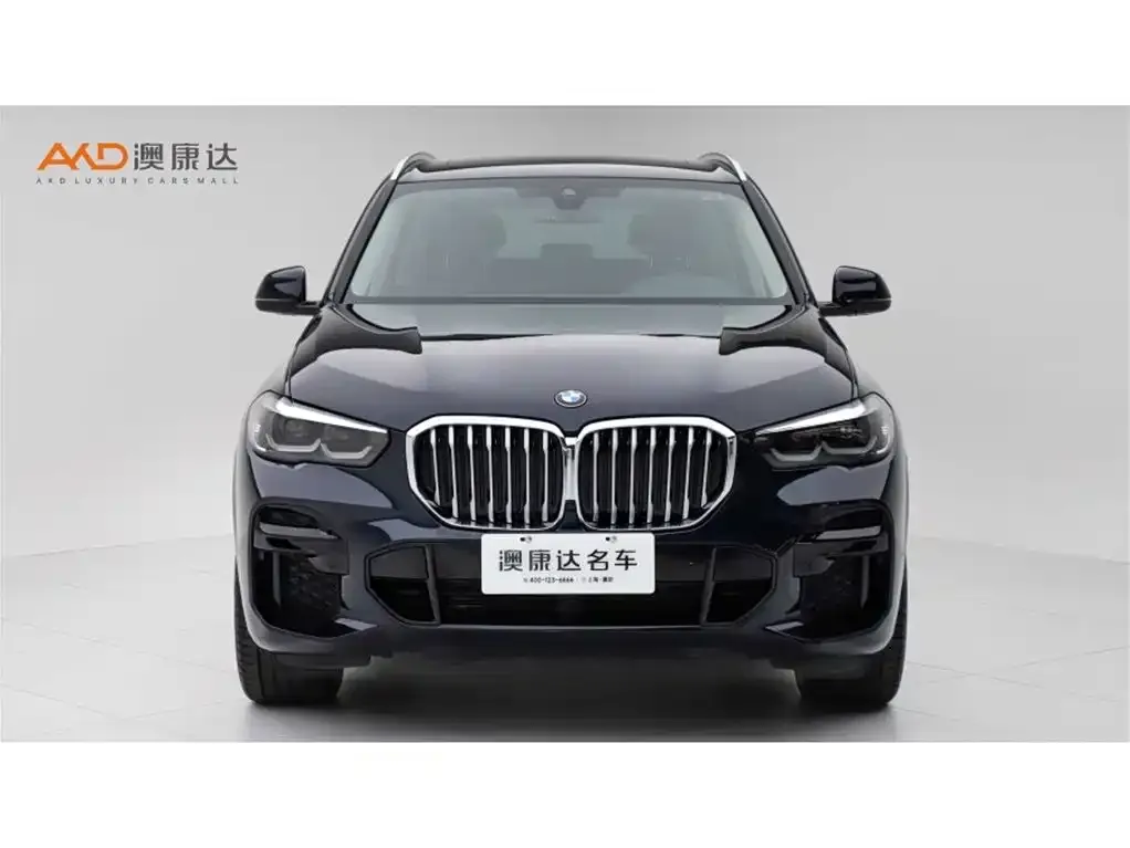 BMW X5 (Import) 2022 из CN, фото 2