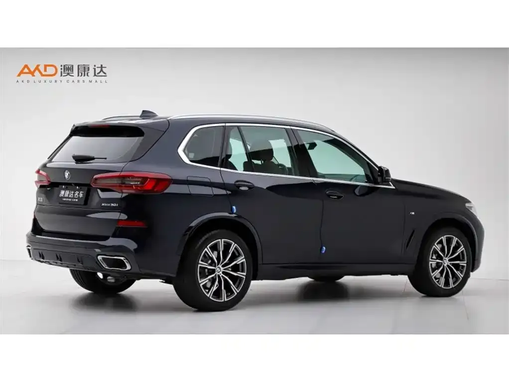 BMW X5 (Import) 2022 из CN, фото 8