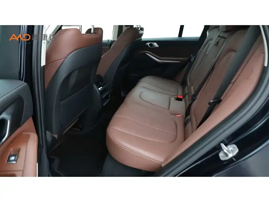 BMW X5 (Import) 2022 из CN, фото 7