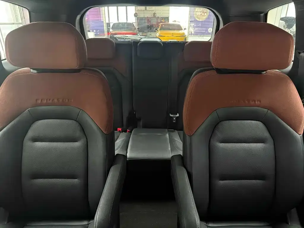 Ford Lingyu New Energy 2025 из CN, фото 4