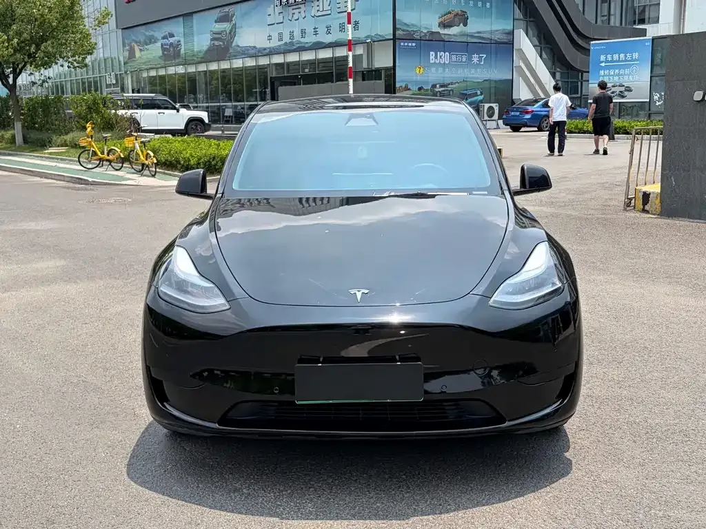 Tesla Model Y — фото 3