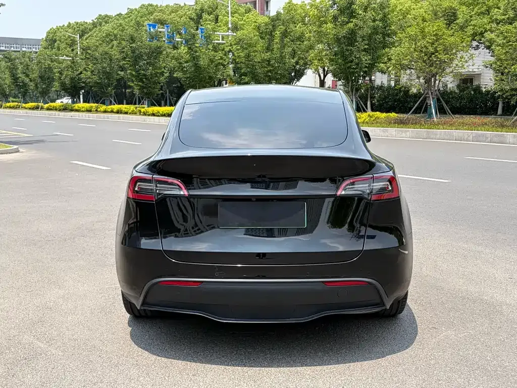 Tesla Model Y — фото 5