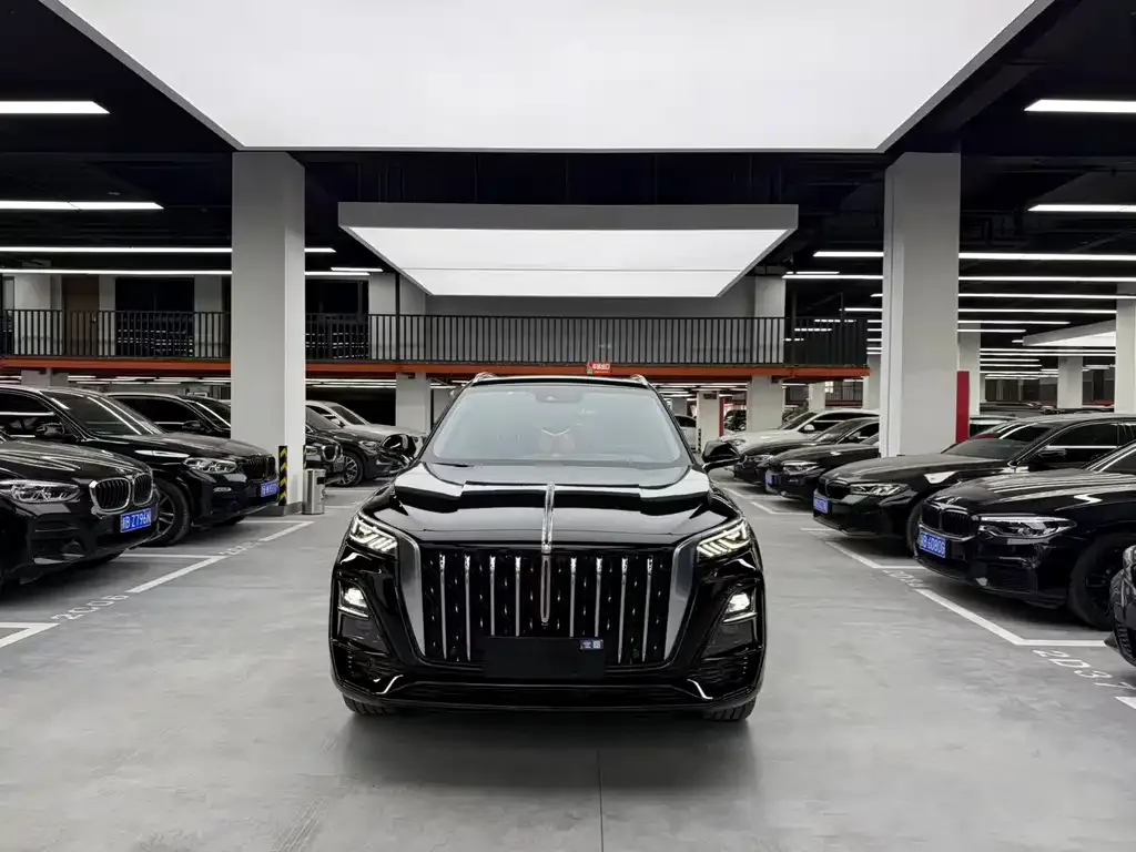 Hongqi HS5 2023 из CN, фото 5