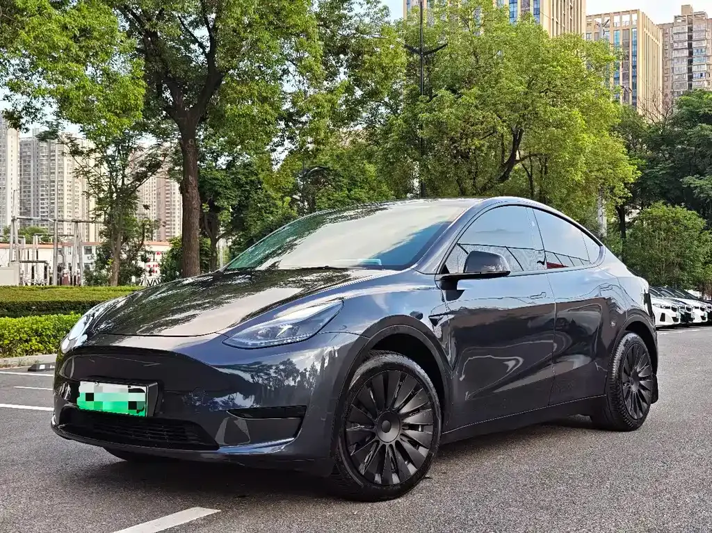 Tesla Model Y — фото 1