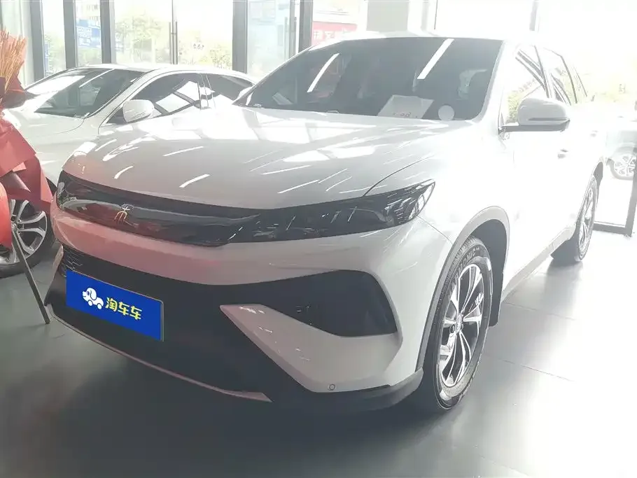 BYD Pro New Energy — фото 1