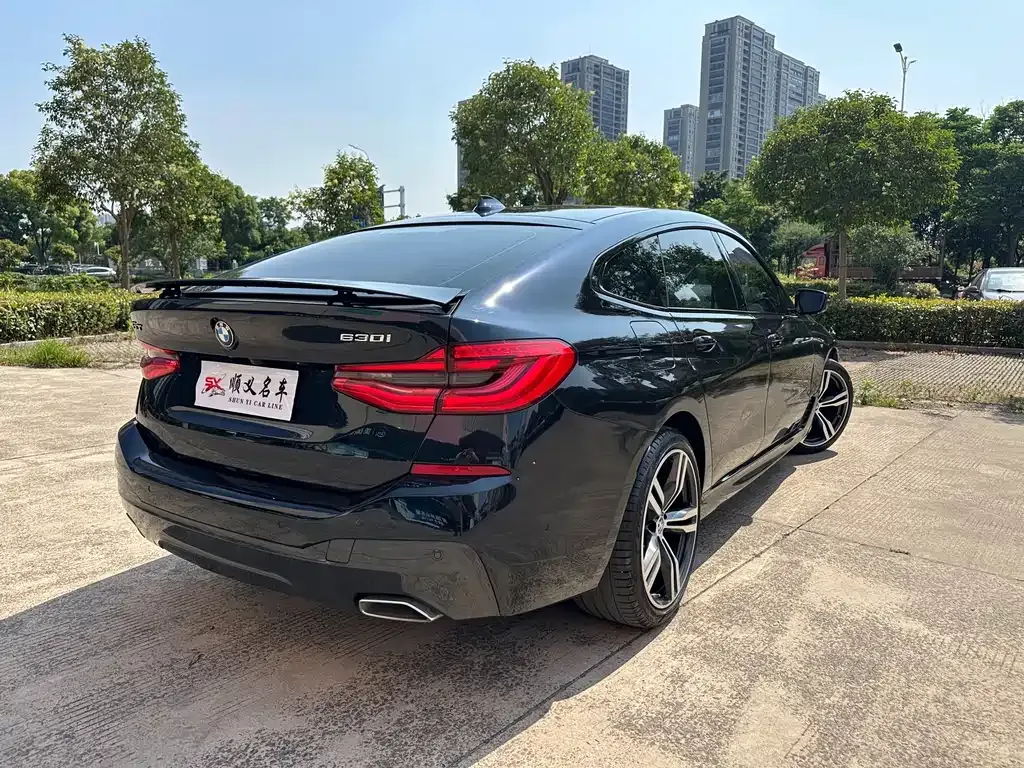 BMW 6 Series GT 2024 из CN, фото 9
